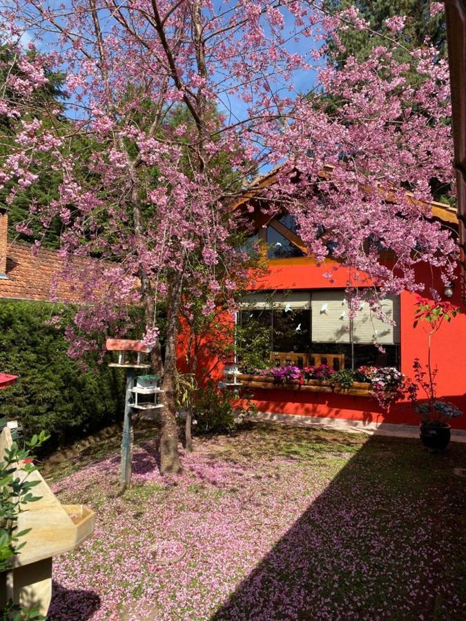 Aconchegante Casa Em Monte Verde Kültér fotó